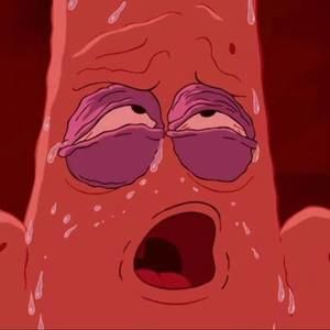 Meet your Posher, Shawn